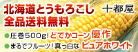 �k�C���Y�Ƃ����낱����������