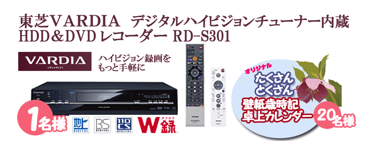 ����HDD&DVD�@VRADIA�v���[���g