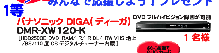�p�i�\�j�b�NDIGA�i�f�B�[�K�j���v���[���g