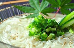 麺のたつみ
