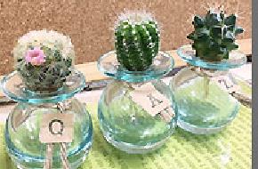 APOA