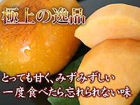 福馬果樹園shopの写真