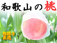 和歌山田中農園の写真
