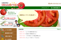 国ちゃんのトマト屋さんのサイトイメージ