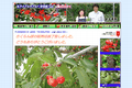 鈴木さくらんぼ園のサイトイメージ
