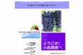 小島農園のサイトイメージ