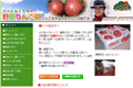 野田りんご園のサイトイメージ