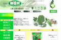 野菜村ネットワークのサイトイメージ