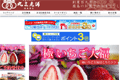 丸三老舗のサイトイメージ