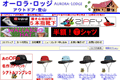 オーロラロッジのサイトイメージ