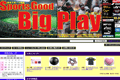 スポーツグッズ ビッグプレイのサイトイメージ