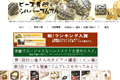 てんてんのサイトイメージ