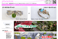 プレジュールのサイトイメージ