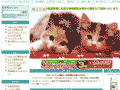 松波動物病院のサイトイメージ