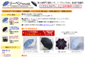 日傘と傘の専門店リーベンのサイトイメージ