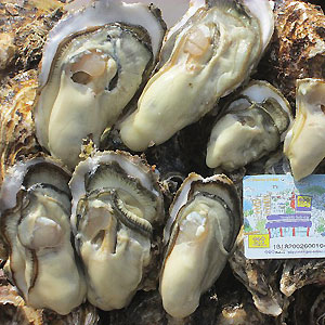 松島牡蠣屋