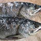 海産問屋　カネニの画像
