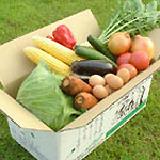 無農薬野菜のミレーの画像