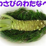 わさびのわたなべの画像