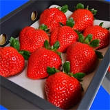 いいものあるファーム九州の画像