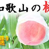 和歌山田中農園の画像