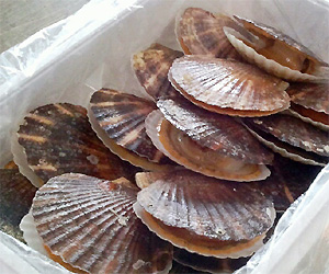 マルゲン後藤水産の画像3
