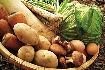 無農薬野菜のミレーの画像1