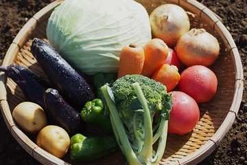 無農薬野菜のミレーの画像2